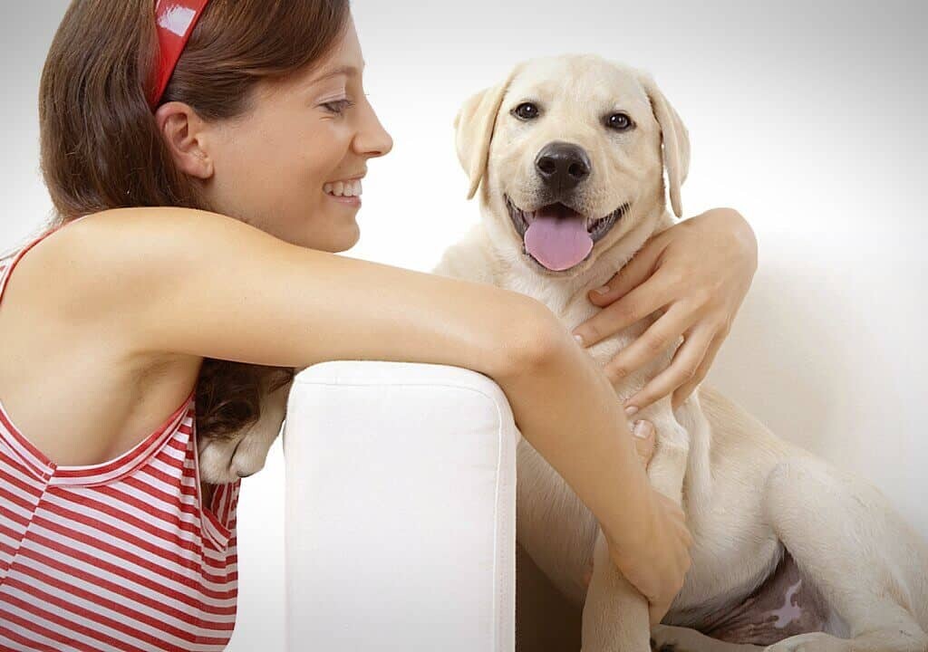 Perros pueden olfatear si una persona es buena