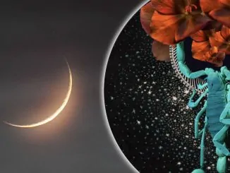 Luna Nueva e inicio de Mercurio Retrógrado